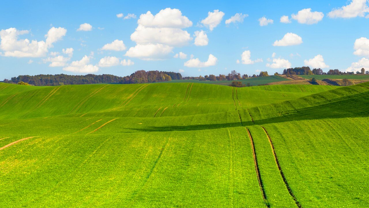 Paksan Silaj Paketleme Makinesi